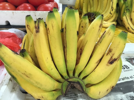 Grappe de bananes / Bunch of Bananas